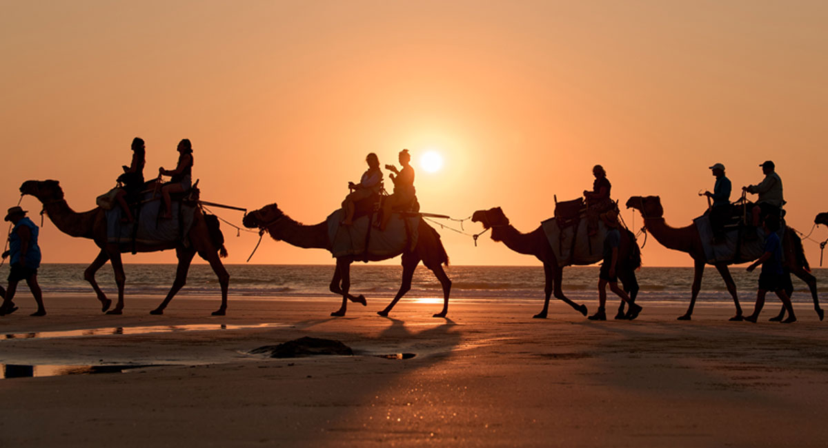 Image of camels at sunset on Cable Beach, Broome